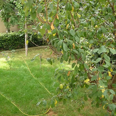 With A Parking Space Starigrad, Paklenica - 11452 3* Starigrad Paklenica